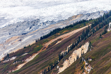 Naklejka premium Aerial view of the Columbia Icefield in the Canadian Rocky Mountains, British Columbia, Canada