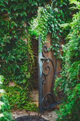 Forged wicket in fence overgrown with greenery