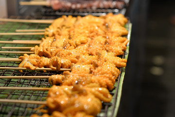 Grilled squid in wood stick prepare for eat