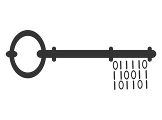 Ключ с двоичным кодом
