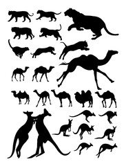 Camel, kangaroo, tiger animal detail silhouette. Vector, illustration. Good use for symbol, logo, web icon, mascot, sign, or any design you want.