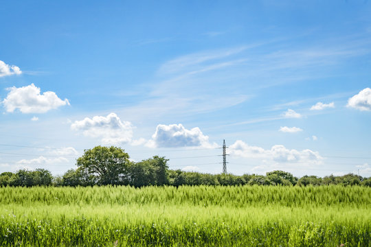 Pylons on a green field with crops