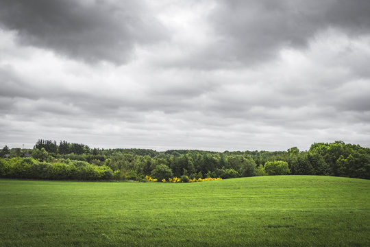 Cloudy weather over a rural green field