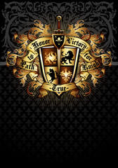 Ornamental  shield with sword.  Highly realistic illustration.