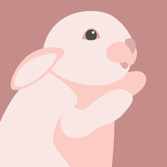 rubbit head face vector illustration flat style front