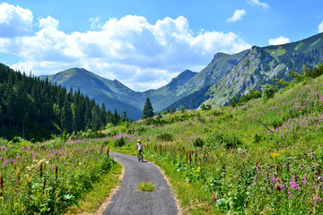Obraz premium Woman is traveling with a bicycle in the summer mountains