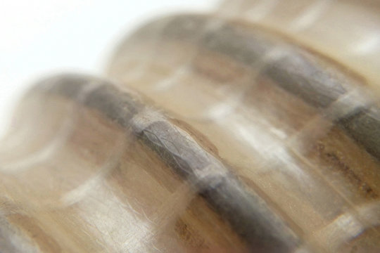 Grey tube closeup blurred background Giger style