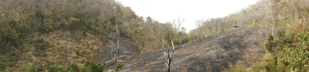 panoramic view of burnt farm land in a mountainous area of Northern Thailand, Southeast Asia prone to self lit wild fires