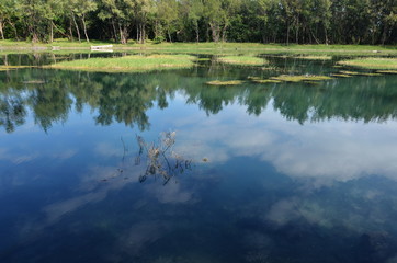 Trees and clouds reflection on Lake