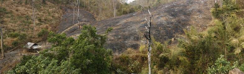 panoramic view of burnt farm land in a mountainous area of Northern Thailand, Southeast Asia prone to self lit wild fires