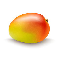 mango fruit isolated on white background