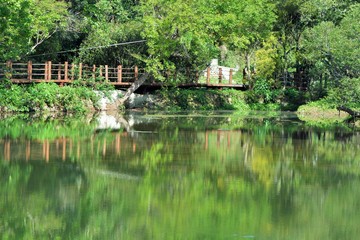 Fototapeta na wymiar Beautiful village pond in Baoshan Township, Taiwan