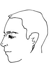  vector sketch of a beautiful man profile