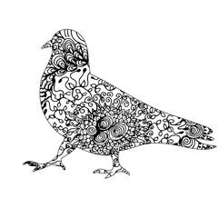 ornament dove, pattern