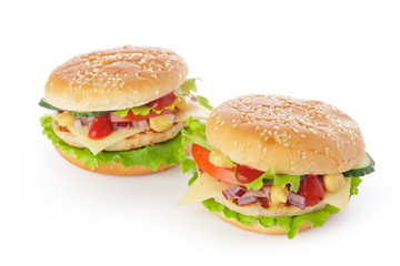 burger on white background