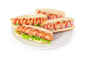 sandwich on white background