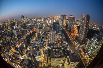Obraz premium 東京夜景