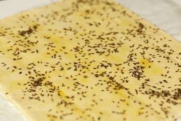 Closeup of a tray with freshly baked cheese crackers with caraway seeds