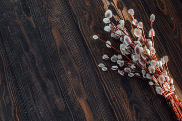 Spring background of willow twigs on a wooden table rustic style