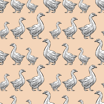 Pattern of the walking geese