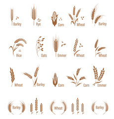 Agricultural symbols isolated on white background.