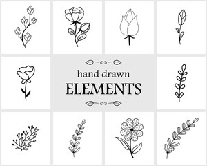 Hand drawn floral logo elements and icons