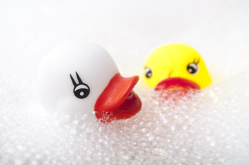 closeup of yellow and white rubber duck toys with moss in bath