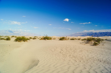 Fototapeta na wymiar Sanddünen in der Wüste Death Valley