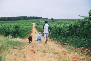 Father and son walking with dog on nature, outdoors.