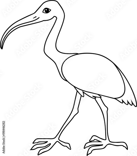 840 Top Ibis Bird Coloring Pages Pictures 840 Top Ibis Bird Coloring Pages Pictures