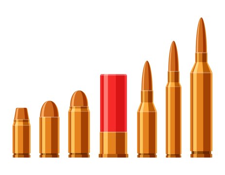 Cartridges vector set. A collection of bullets isolated on white background. Weapon ammo types and size in flat style. Vector illustration