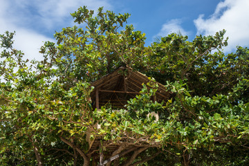 Fototapeta na wymiar Tree house on the island, Philippines