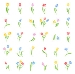Vector set of colored tulips.