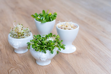 Different types of micro greens in white bowls for sauces on wooden background. Fresh garden...