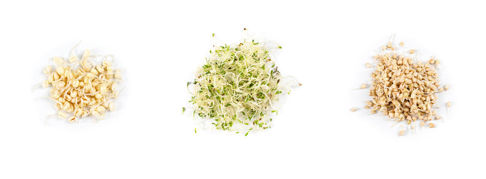 Heap of pea sprouts, sprouted alfalfa seeds and germinated buckwheat, micro greens on white background. Symbol of health and vitamins from nature. Microgreens closeup.
