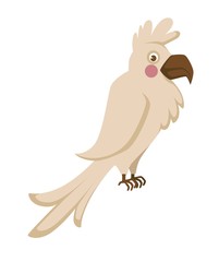 Domestic albino parrot with big sharp beak and funny forelock