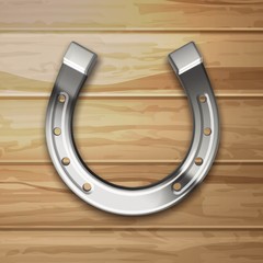 Silver horseshoe on a woody background