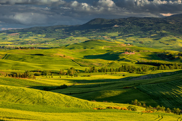 Tuscany spring landscape