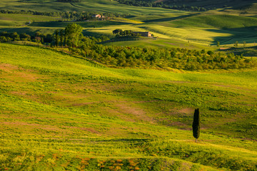 Tuscany spring landscape