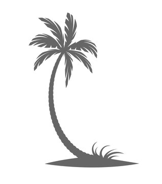 Silhouette of palm trees on a white background.