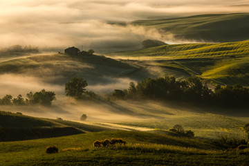 Obraz premium Tuscany spring landscape