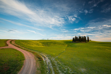 Tuscany spring landscape