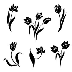Silhouettes of tulips on a white background.