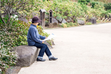 Obraz premium パンフレットを読むシニア女性