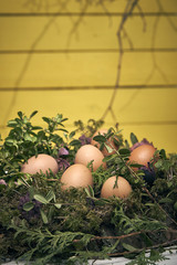 Eastern egg composition, moss, wood natural