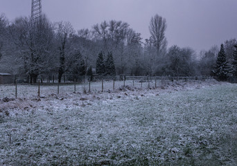 Landschaft