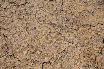 Brown dry soil or cracked ground texture background.