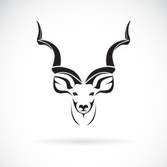Vector of greater kudu head design on white background, Wild Animals. Easy editable layered vector illustration.