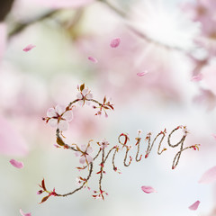 Spring Cherry Blossom Letters