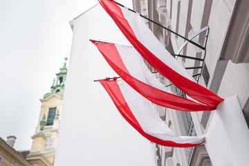 Viennese Flags waving on the door in Vienna, Austria